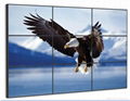 55inch 5.5mm Ultra slim Bezel LCD video wall 1