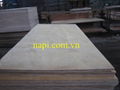 Vietnam Packing Plywood from Vietnam 1