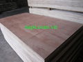 Vietnam High Quality Plywood from