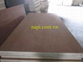 Vietnam keruing plywood from Vietnam