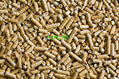 Wood Pellet cheap price from VIETNAM 1