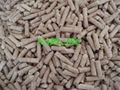 Vietnam Wood Pellet D 8mm 1