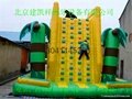 Children's inflatable climbing wall in the castle 4