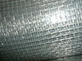 Galvanized Square Wire Mesh 3