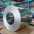 Galvanized Steel Plate & Coil