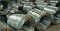 Galvanized Wire