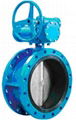 China Concentric Butterfly Valves 1