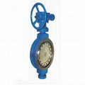 Worm Gear Hard Seal Butterfly Valves 1