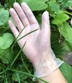 Clear Transparent Protective Powder Free Disposable Examination PVC Vinyl Gloves