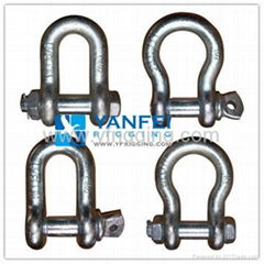 G209 US Type Screw Pin Drop Forged Anchor Shackle