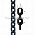 YF8AC G80 Alloy Steel Lifting Chain -