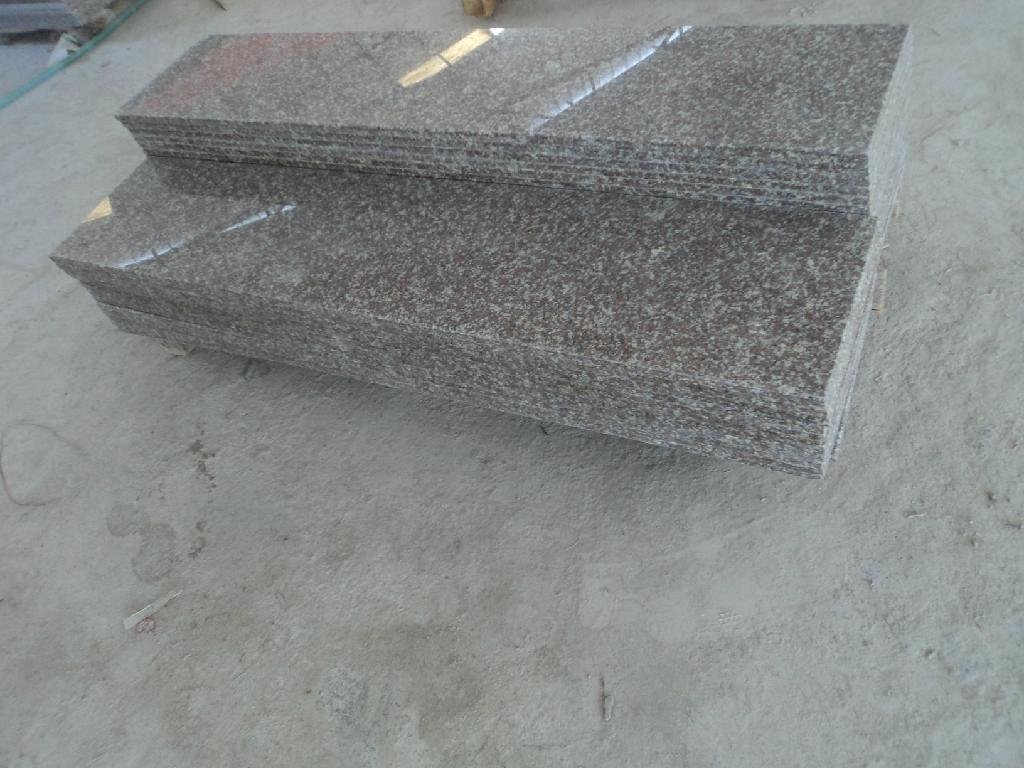 Cheap Price Chinese Granite G664 Granite Stair 600*300*20mm 4