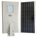 60W Integrated Solar LED street light,