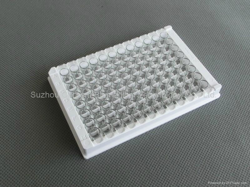 ELISA plate  manufacturer 8*12 flat bottom 