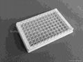 ELISA plate  manufacturer 8*12 flat bottom  2