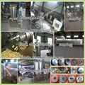 Corn Puffs Snacks Making Machine 8