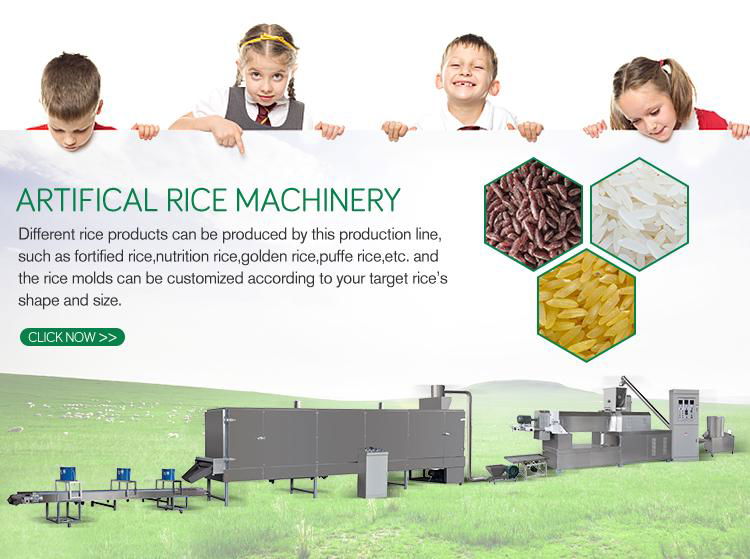 RFK Artificial Rice Making Machine