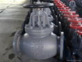  JIS marine cast iron globe valve 3
