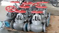  JIS marine cast iron globe valve 4