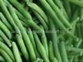 frozen  green bean cut