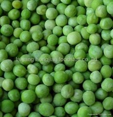  frozen  green peas from China