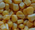  frozen foods frozen sweet corn 