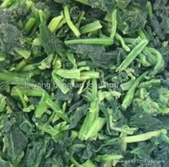  frozen green spinach leaf
