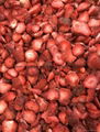  FD foods FD strawberry diced 3