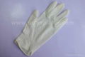 Disposable Latex Exam Gloves