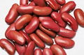 kidney beans