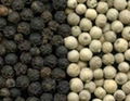 black pepper and white pepper