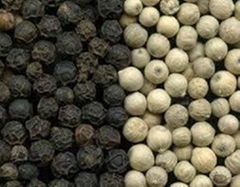 black pepper and white pepper