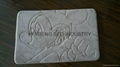 Embroidery Threaded Coral Fleece Memory Foam Bath Mat 3