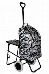 Shopping Trolley with Chair