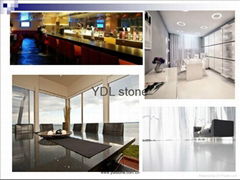 White supernucleosomal granule quartz stone bar reception counter