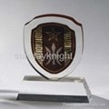 Acrylic awards | trophy