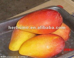 Mango seed extract