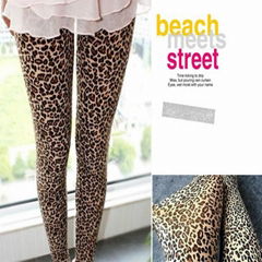 WL-126 Hot Seller  European and American Leopard Pants 