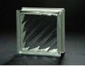 clear Dogona Glass block