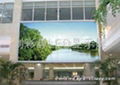 New Design 3in1 Piranha LED Lamp Full Color LED Panel P8 for Outdoor Advertising