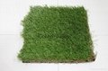 Artificial Grass turf leisure lawn soccer