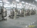 Fruit & Vegetable Processing Machines