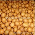 Coated Peanuts making Machine 2