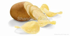 potato chips processing machine