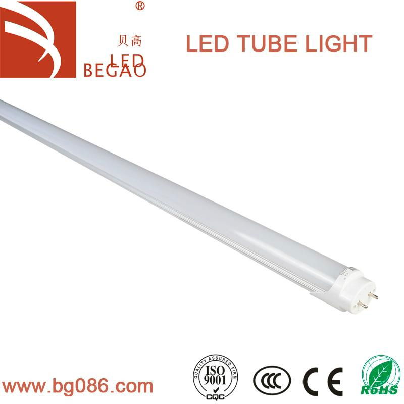 china T8 LED light in free sample