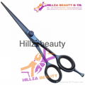 Professional Hair Scissors