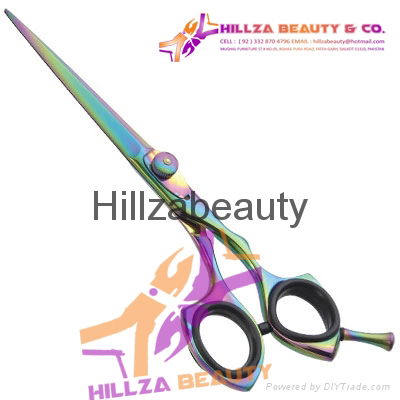 Professional Hair Scissors 2