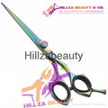 Professional Hair Scissors 2