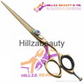 Professional Hair Scissors 4