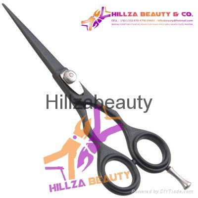 Professional Hair Scissors